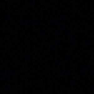 Meet your Posher, Faun